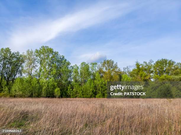 Spring Riparian 61 Zone Riparian Stock Photos, High-Res Pictures, and Images - Getty Images