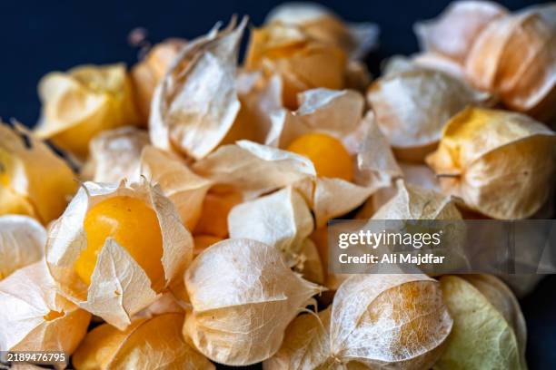 ground cherry - lanterna cinese foto e immagini stock