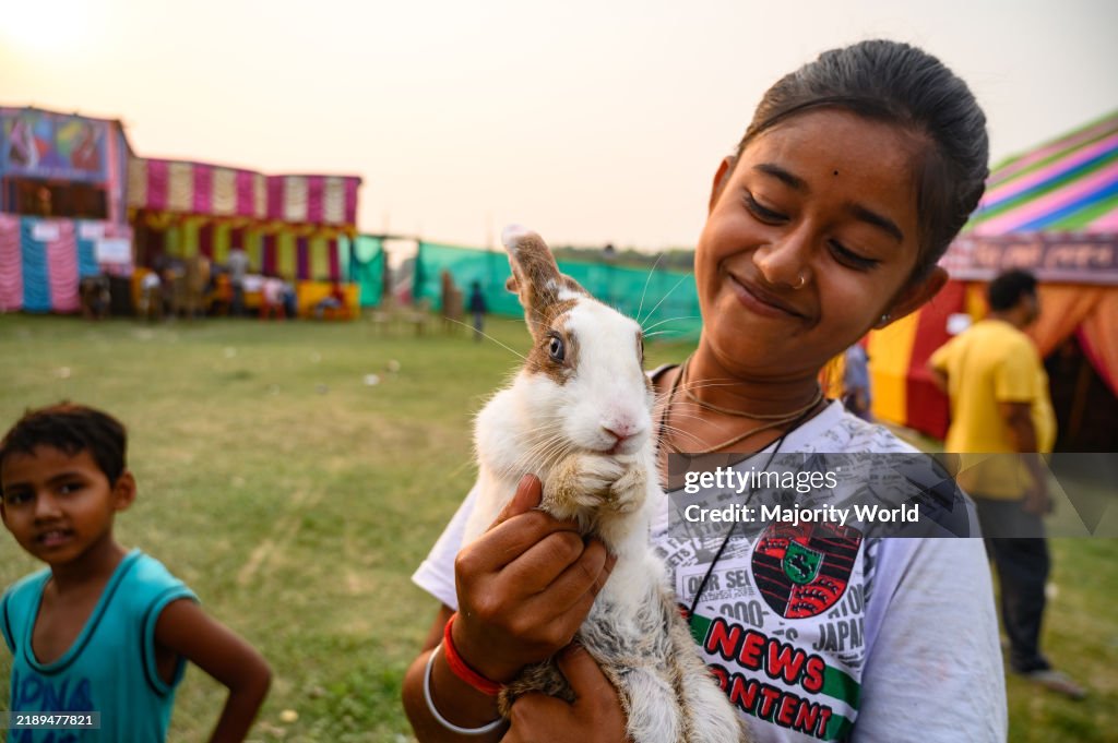 A young village girl and her brother visit the fair with their pet rabbit. The rabbit is repeatedly trying to escape and giving different expressions. A recent study found that domestic rabbits have smaller brains relative to their body size compared to t