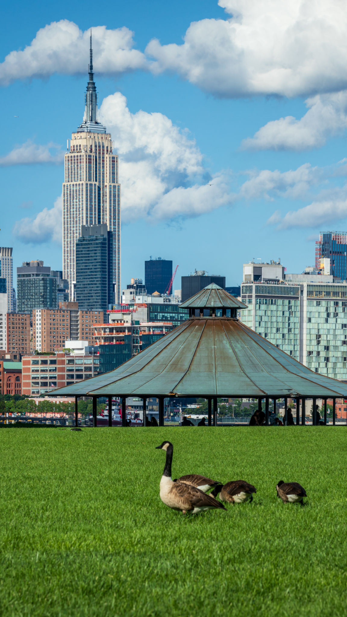 nyc skyline kamel