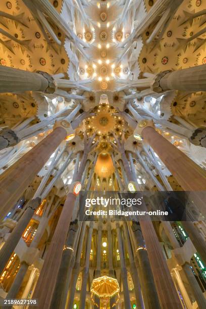 Interior Sagrada Familia Ceiling Sagrada Familia Basilica Is Almost