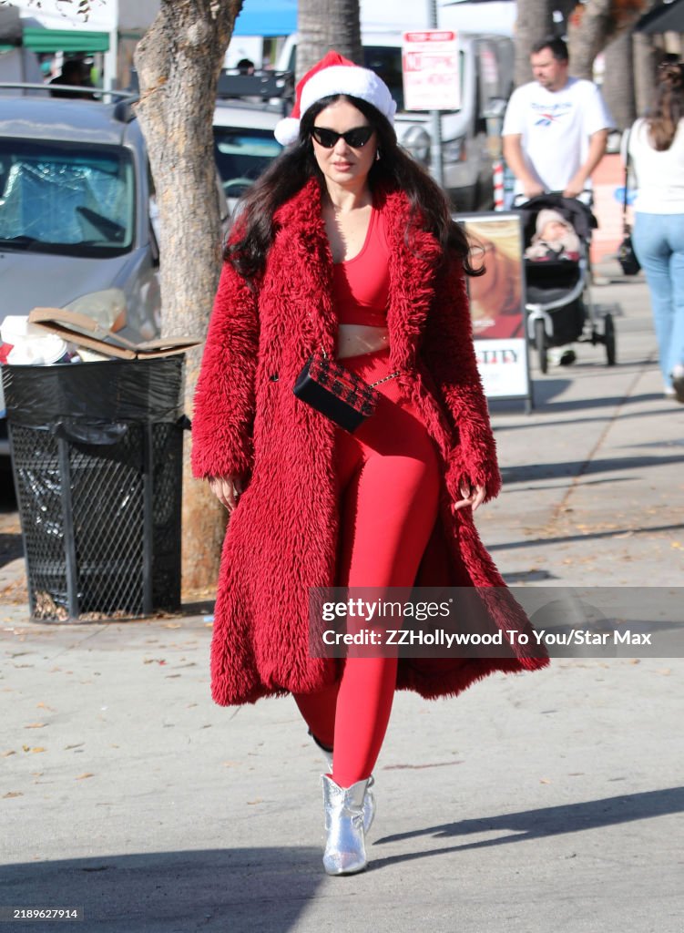 Celebrity Sightings In Los Angeles - December 15, 2024