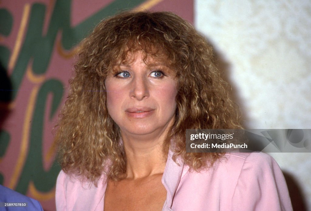 Barbra Reed Barbra Streisand at the Women In Film Event Honoring Barbra Streisand ...