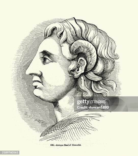 Alexend 1,256 Alexander The Great Portrait Stock Photos, High-Res Pictures, and ...