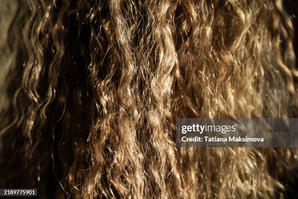 wavy hair structure close-up. - ombré hair stock-fotos und bilder