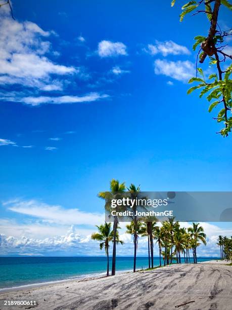 panama coast