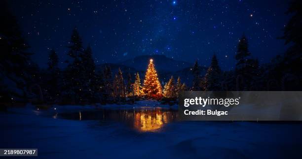 fairy winter scene with illuminated christmas tree and starry sky - natal imagens e fotografias de stock