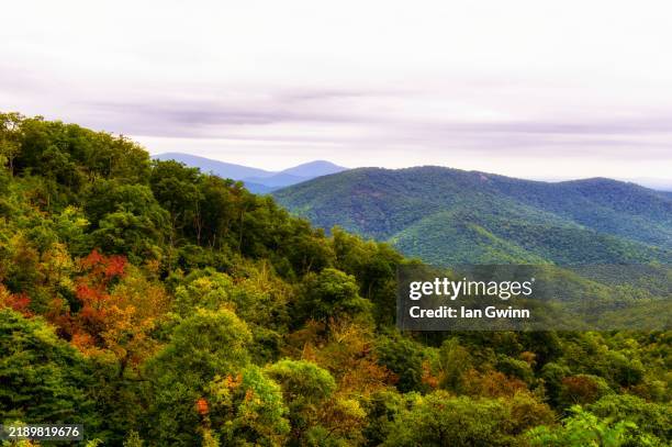 shenandoah mountains - shenandoah national park stock pictures, royalty-free photos & images