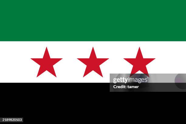 new official syria country flag 2024 - syria flag stock illustrations