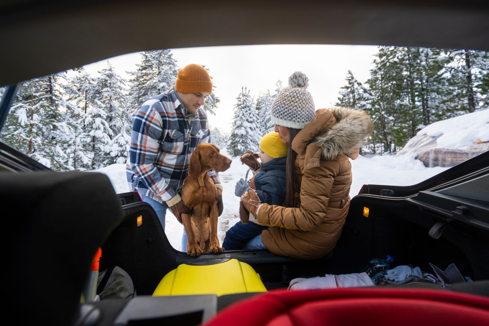car winter