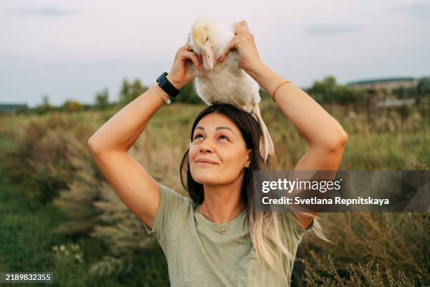 young woman farmer holding a cute duckling on her head, smiling - ambientalista foto e immagini stock