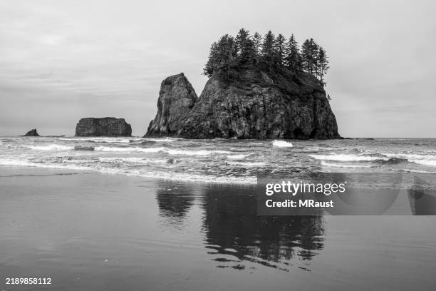 a black and white image of the rock formations on la push beach on the coast of washington state. - olympic peninsula stock pictures, royalty-free photos & images
