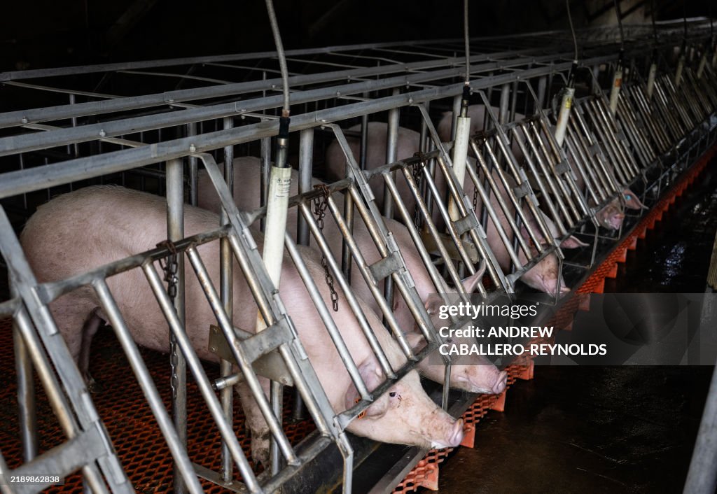 US-ANIMAL-SCIENCE