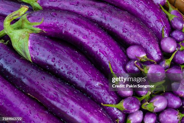 top view of purple color eggplants with water drops - aubergine stock pictures, royalty-free photos & images