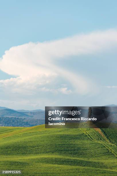 crete senesi in springtime, tuscany - tuscany landscape stock pictures, royalty-free photos & images