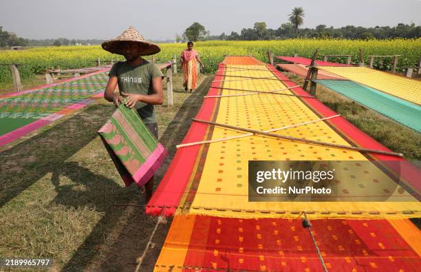 Weaver arranges a saree, a traditional cloth used for women's clothing, as it hangs out to dry after weaving it at a workshop in Santipur town, about...