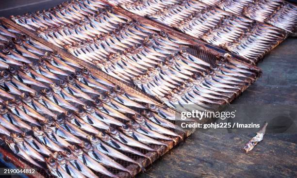 Pollock Roe Animal 101 Pollack Roe Stock Photos, High-Res Pictures, and Images - Getty Images