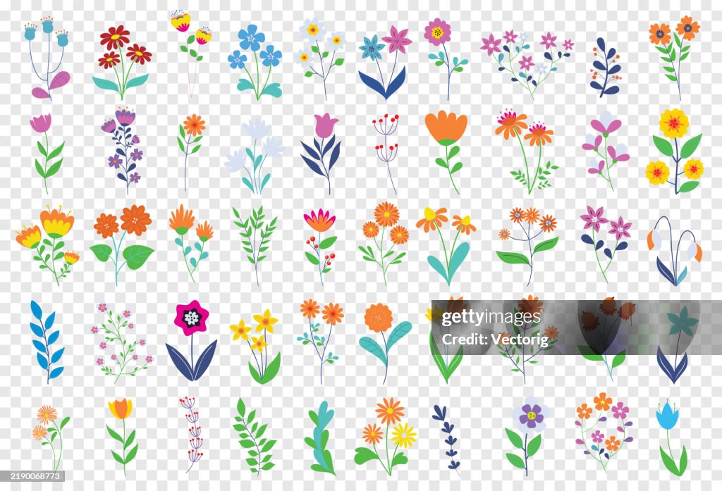 Florale Elemente