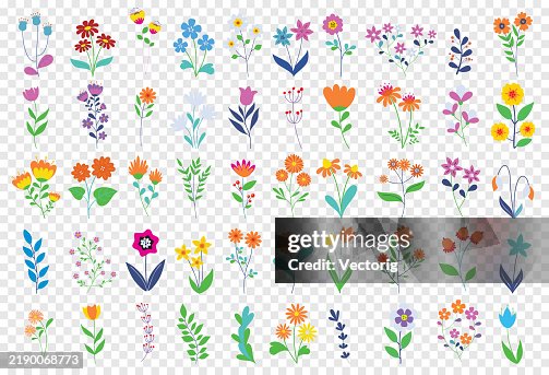 Floral elements Floral elements