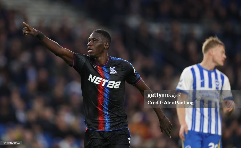 Brighton & Hove Albion FC v Crystal Palace FC - Premier League