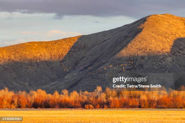 rural landscape with trees and hills at sunset - sun valley idaho stock pictures, royalty-free photos & images