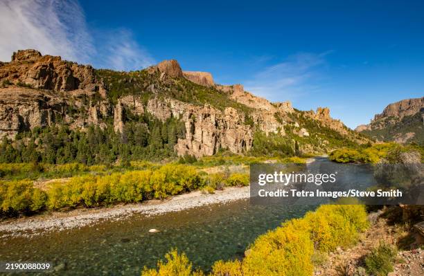 Traful Tree 17 Traful River Stock Photos, High-Res Pictures, and Images - Getty Images