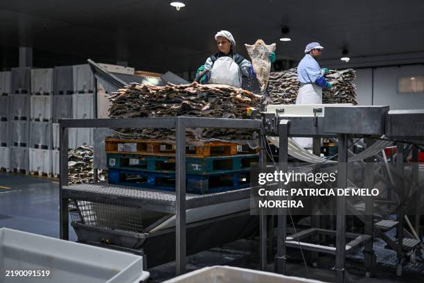 Cod Fish Processing Plant 5,549 Cod Fish Food Stock Photos, High-Res Pictures, and Images - Getty ...