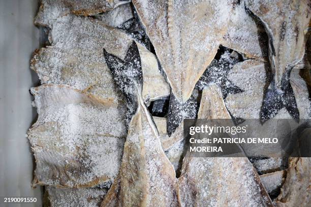 Curing Cod Fish 127 Largest Salad Stock Photos, High-Res Pictures, and Images - Getty ...