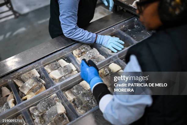 Cod Fish Processing Plant 14,136 Fish Fillet Stock Photos, High-Res Pictures, and Images - Getty ...