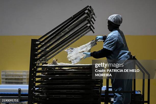 Cod Fish Processing Plant 14,136 Fish Fillet Stock Photos, High-Res Pictures, and Images - Getty ...
