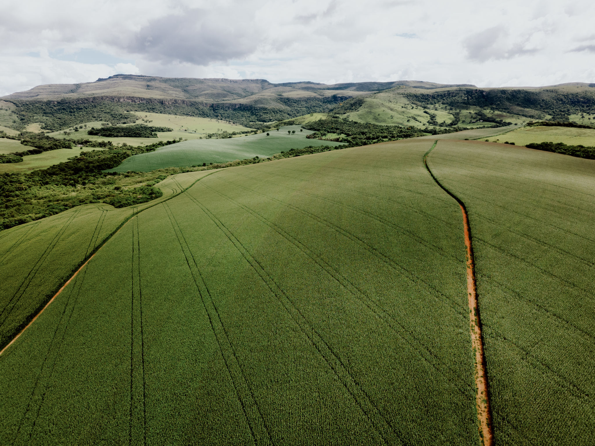 agribusiness brazil