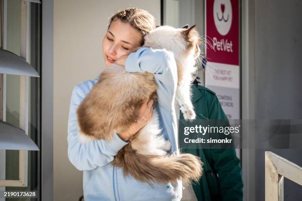 young girl cuddling her pet cat outside veterinary clinic - affectionate stock pictures, royalty-free photos & images