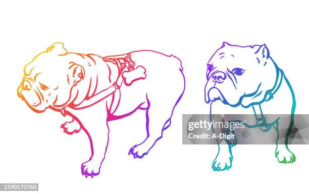 boxerpetrainbowdrawing - skull side stock illustrations