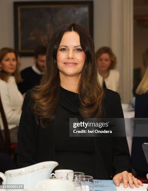 Princess Sofia of Sweden attends a meeting with members of Nordic Child Tech Policy Alliance on December 16, 2024 in Stockholm, Sweden.