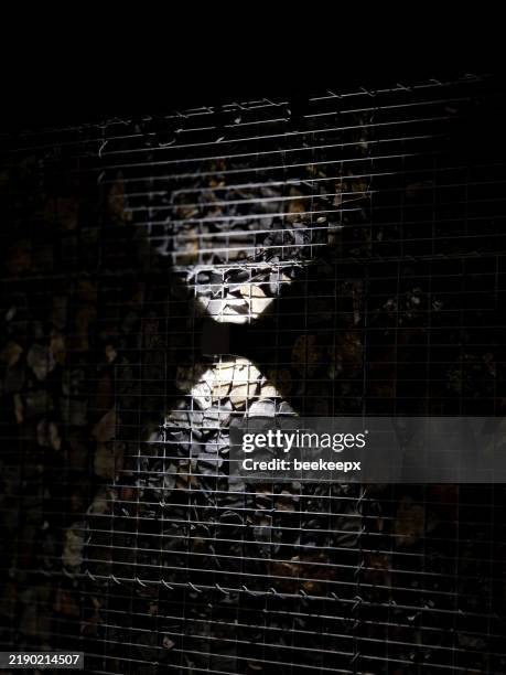 spot wall light illuminates the wall of facade of the house in a conical shape at night. evening positioning and navigation lamp of black color shines in two directions on the gabion wall, back yard