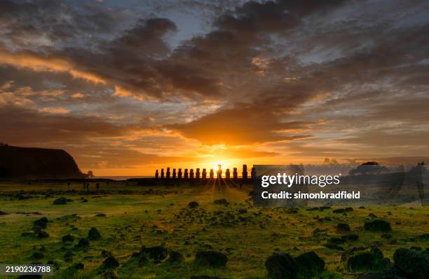 the moai of ahu tongariki on easter island at dawn - rapa nui stock pictures, royalty-free photos & images