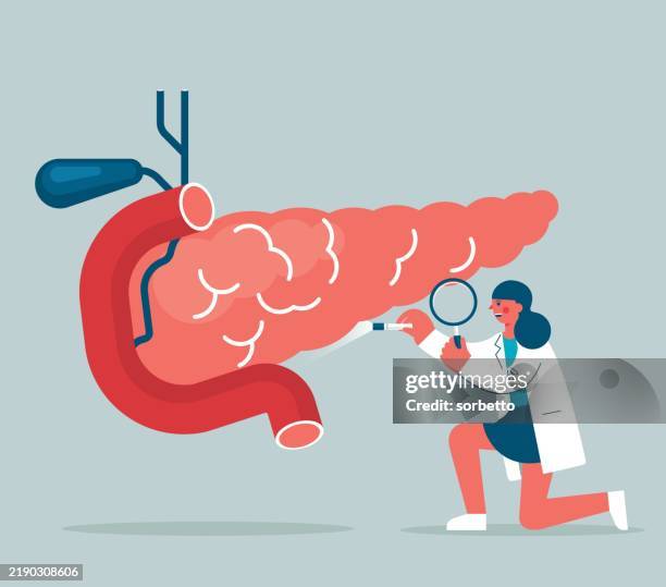 magnifying glass - pancreas - female doctor - pancreas stock illustrations