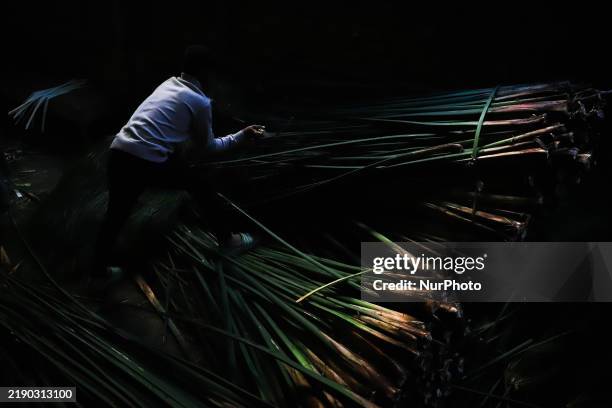 Young boy cuts papyrus in Al-Qaramous village, Al Sharqia, on December 21, 2024 .