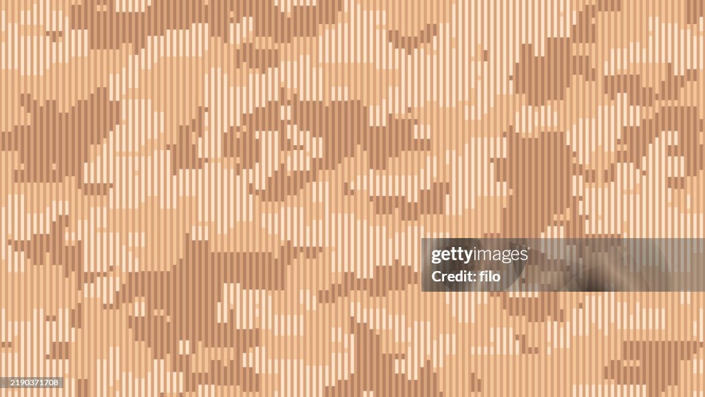 Camouflage Background