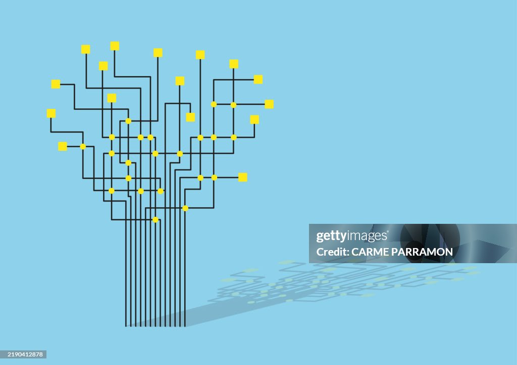 Decision tree and clustering.
