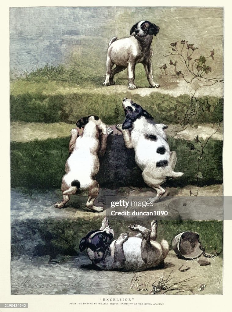 Kleine Welpen, die versuchen, Treppen zu steigen, Viktorianische Hundekunst, Excelsior, William Strutt, 1880er Jahre Vintage-Illustration 19. Jahrhundert
