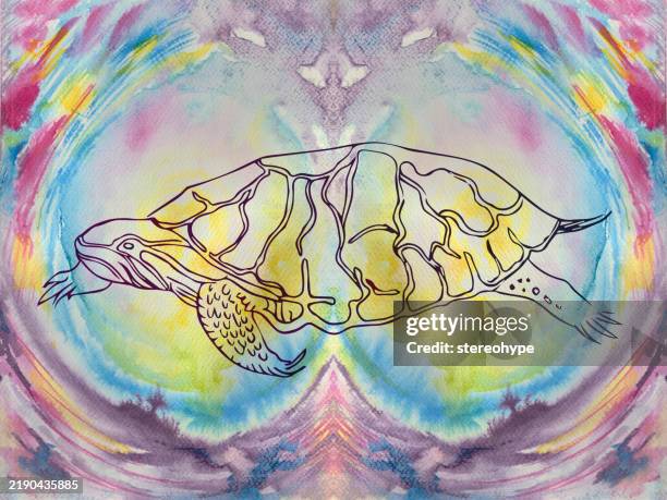 Turtle Infinity Infinity Turtle High-Res Vector Graphic - Getty Images