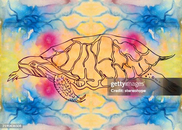 turtle psyche - turtle shell stock illustrations