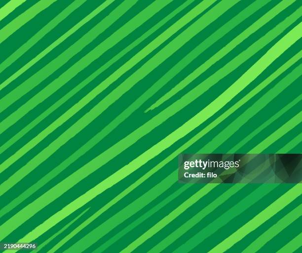green stripes modern background pattern - tiger background stock illustrations