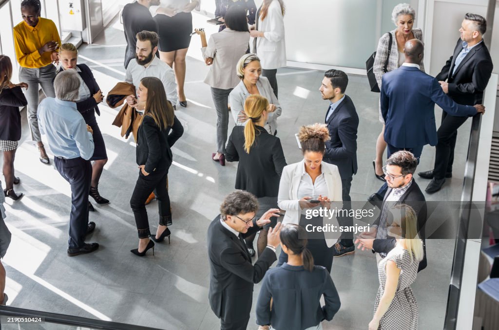 Diverse Professionals Engaged in Lively Business Networking