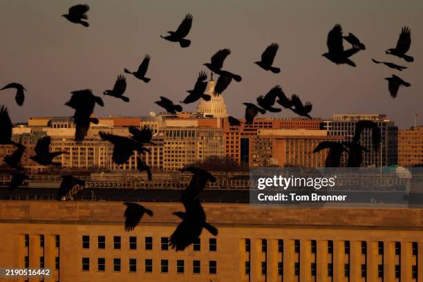 Birds fly near the Pentagon building over the U.S. Air Force Memorial on December 22, 2024 in Arlington, Virginia.