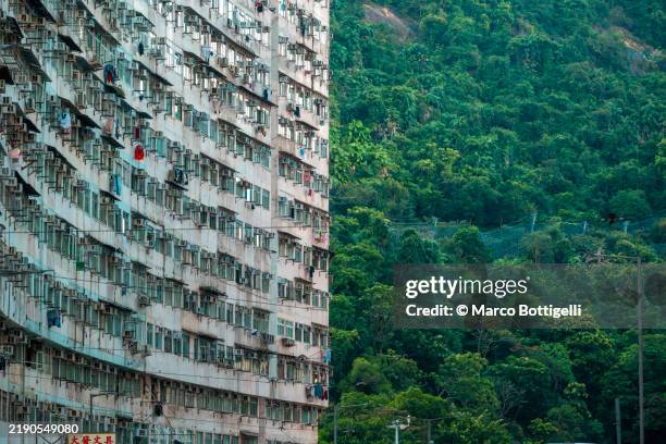 urban contrasts in hong kong - demografie stockfoto's en -beelden
