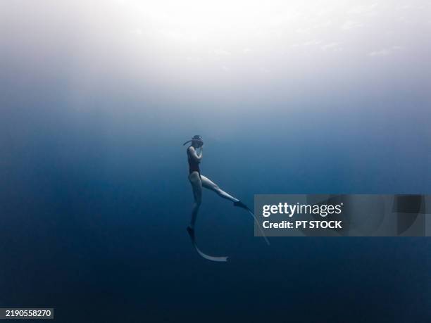 a freediver in a sleek swimsuit and long fins is gracefully suspended in the deep blue ocean, bathed in sunlight from above. - wateroppervlak stockfoto's en -beelden
