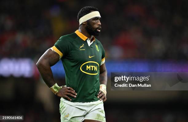Siya Kolisi of South Africa looks on during the Autumn Nations Series 2024 match between Wales and South Africa at Principality Stadium on November...