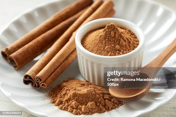 cinnamon sticks and cinnamon powder isolated on a white background - canela imagens e fotografias de stock
